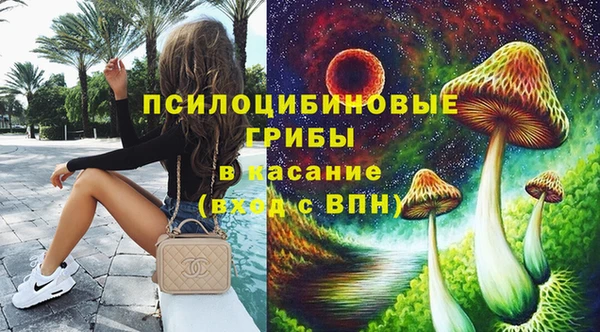 мяу мяу мука Алексеевка